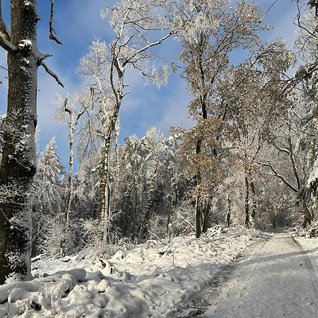 Haus Astenblick In Winterberg Fuer Bis Zu 35 Personen Fuer Wanderveranstaltungen Und Familienfeiern Luaran gambar