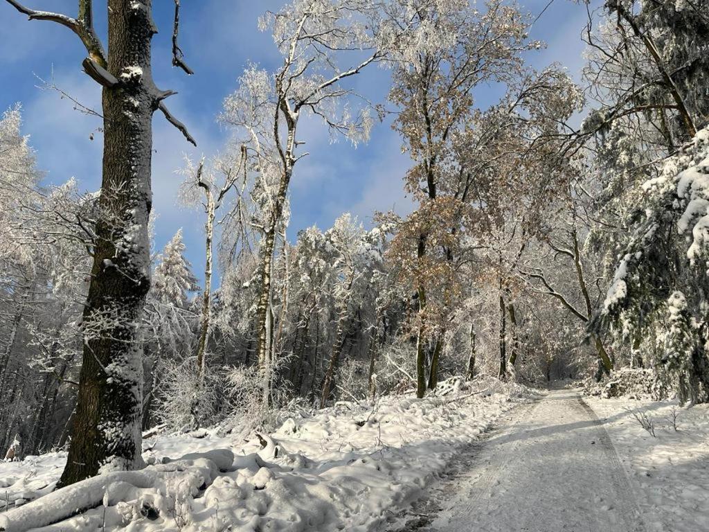 Haus Astenblick In Winterberg Fuer Bis Zu 35 Personen Fuer Wanderveranstaltungen Und Familienfeiern Luaran gambar